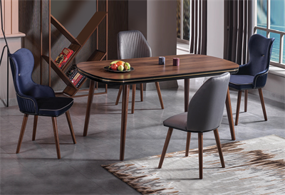 Alfa Mutfak Masa Takımı