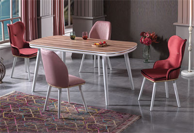 Alfa Mutfak Masa Takımı