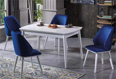 Florya Mutfak Masa Takımı