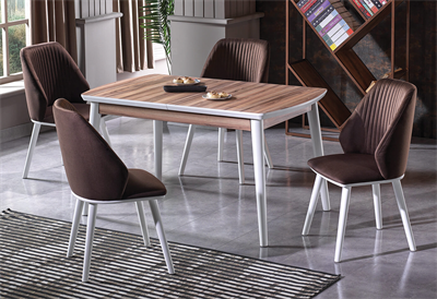 Florya Mutfak Masa Takımı