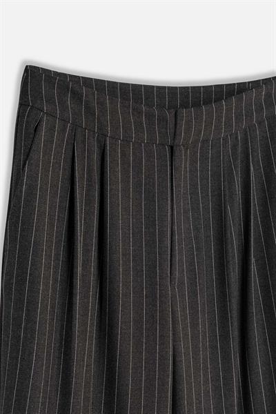 Kadın Antrasit Çift Pileli Pantolon