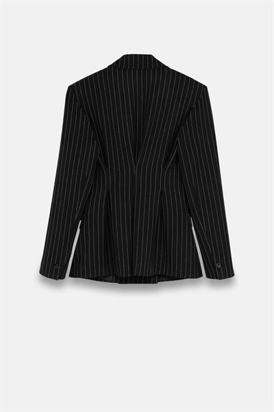 Kadın Siyah Pens Detaylı Çizgili Blazer-Thalure