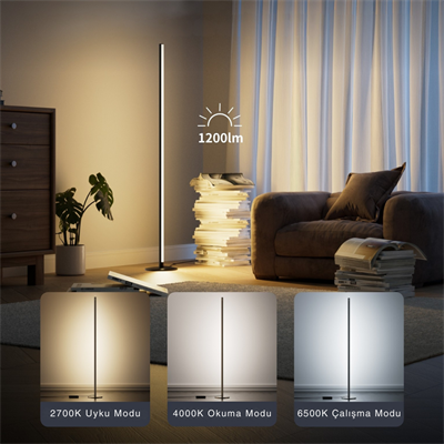 Çok Renkli Akıllı Lambader