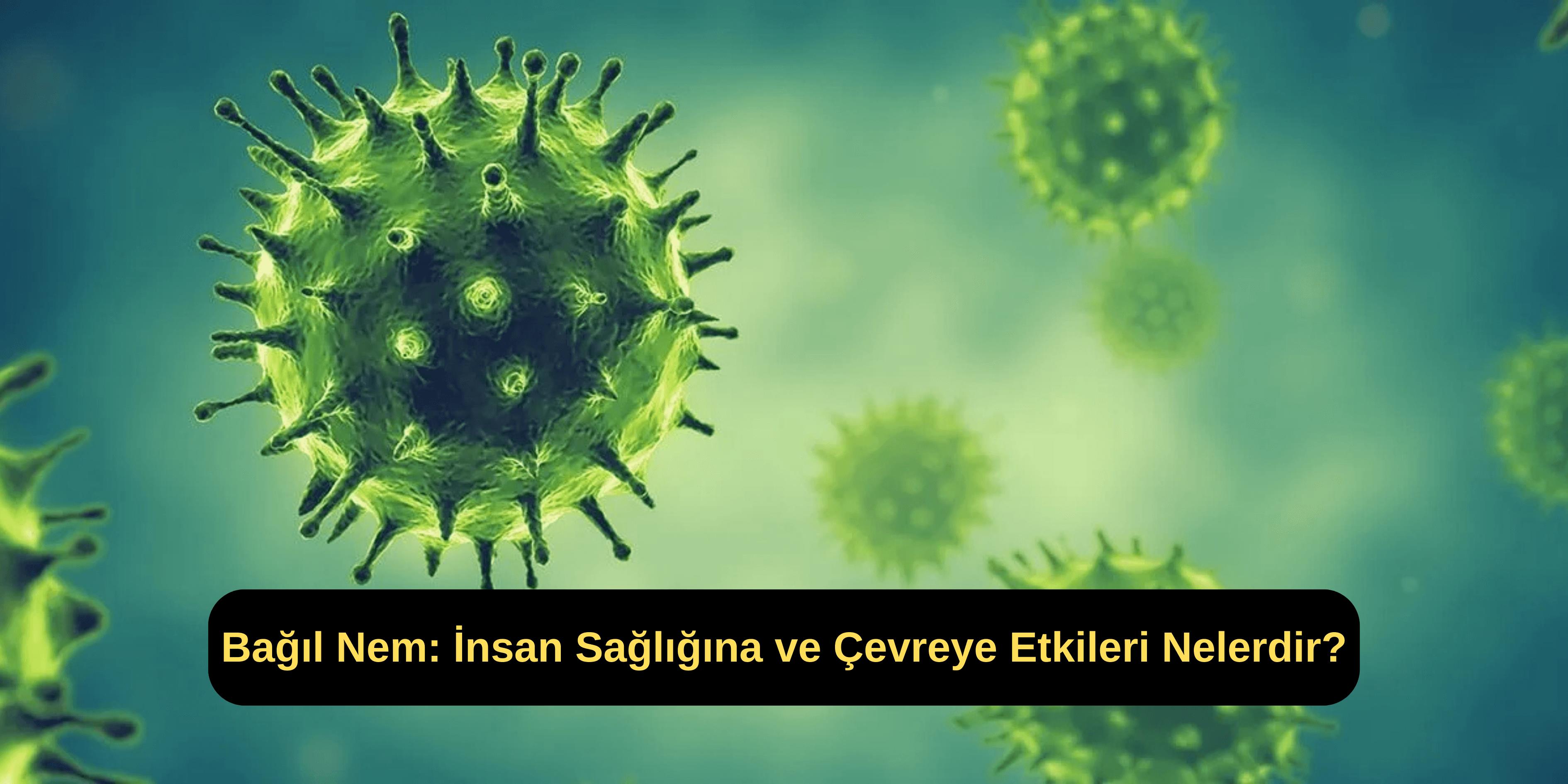 Bağıl Nem: İnsan Sağlığına ve Çevreye Etkileri Nelerdir?