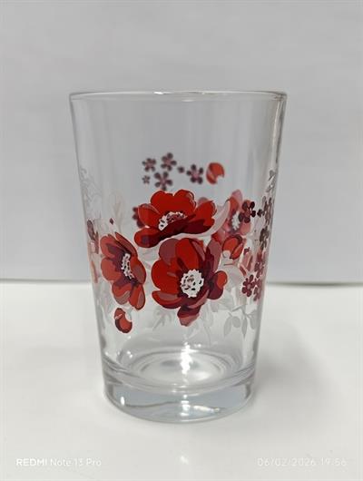 LARA 6Lı Desenli Su Bardağı