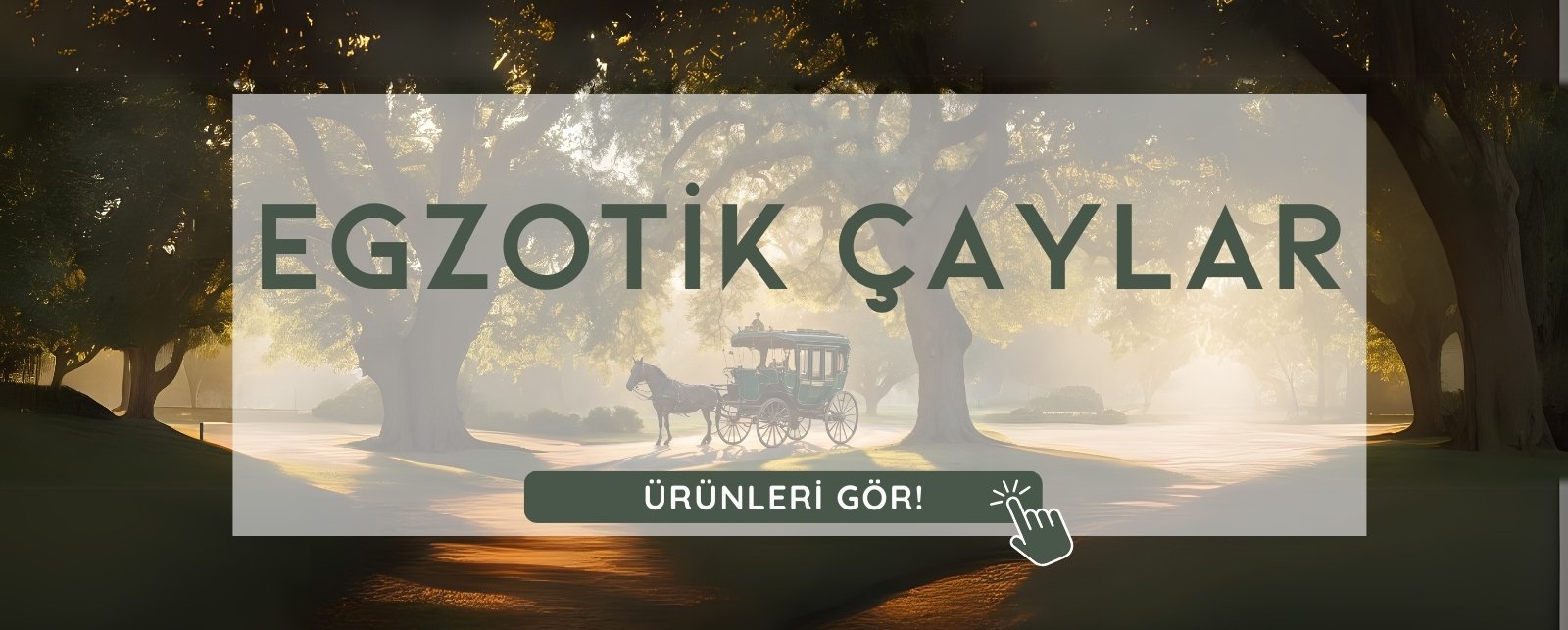Egzotik Çaylar ve Kahve