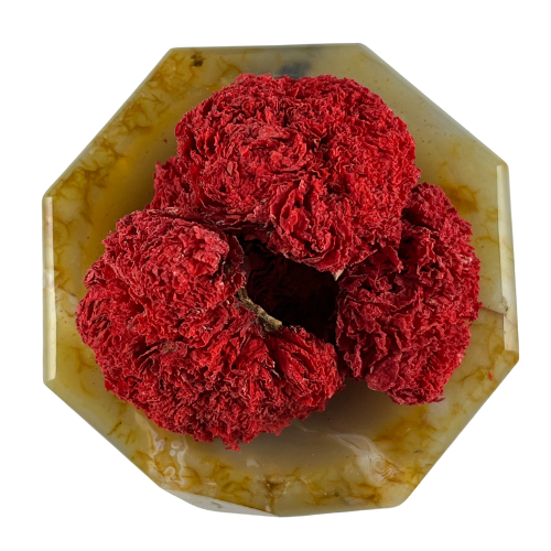 Nar Çiçeği Kurusu 50g