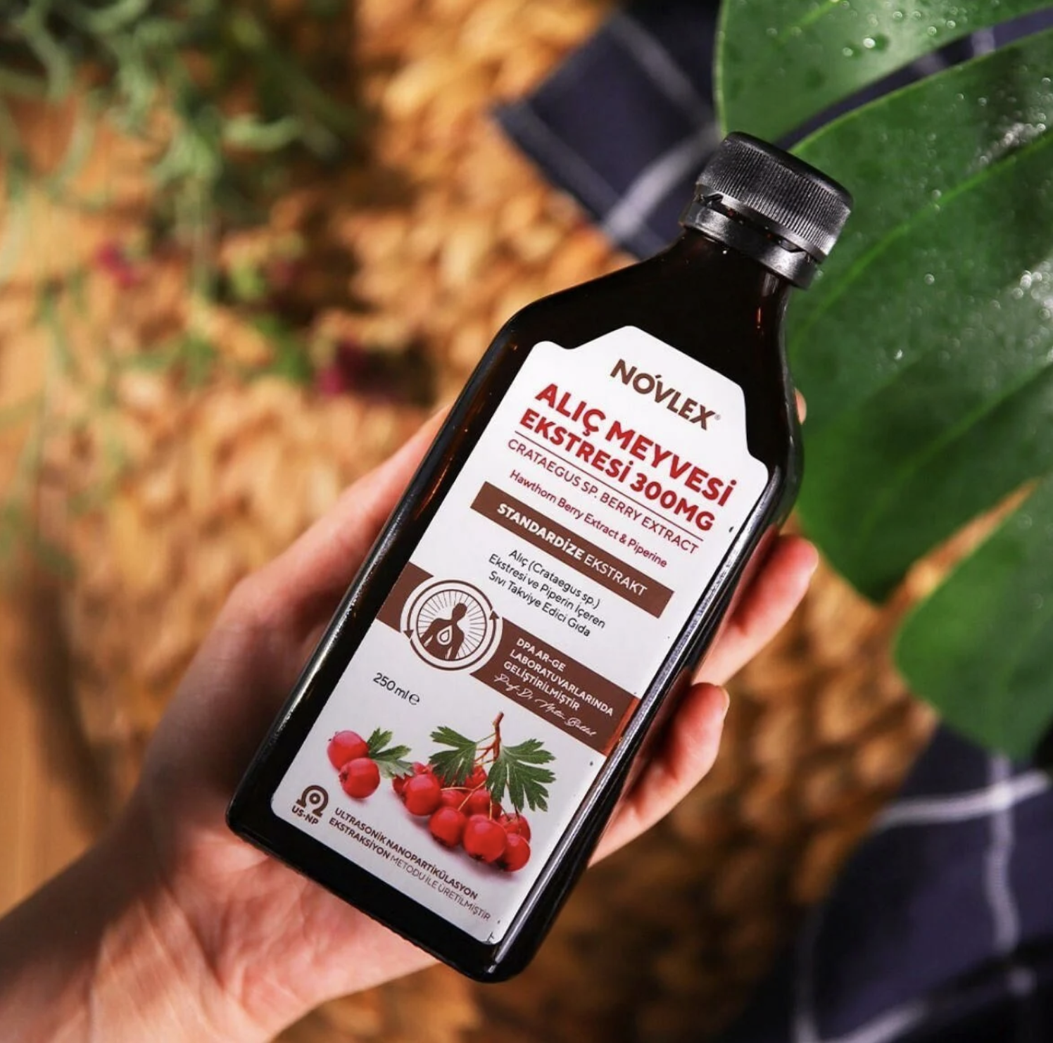 Novlex® Alıç Meyve Ekstresi 250ml