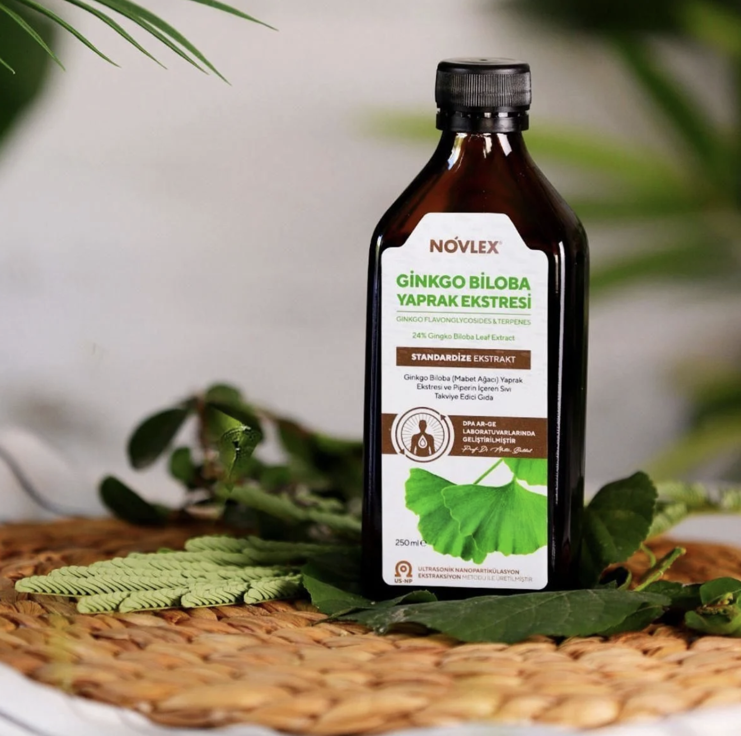 Novlex® Ginkgo Biloba Ekstresi 250ml