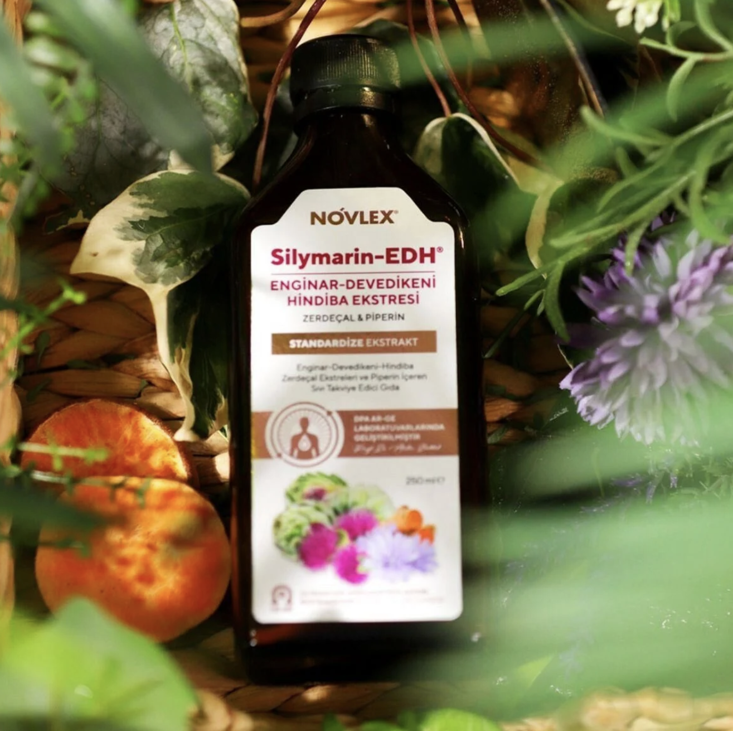 Novlex® Silymarin-EDH Ekstresi 250ml