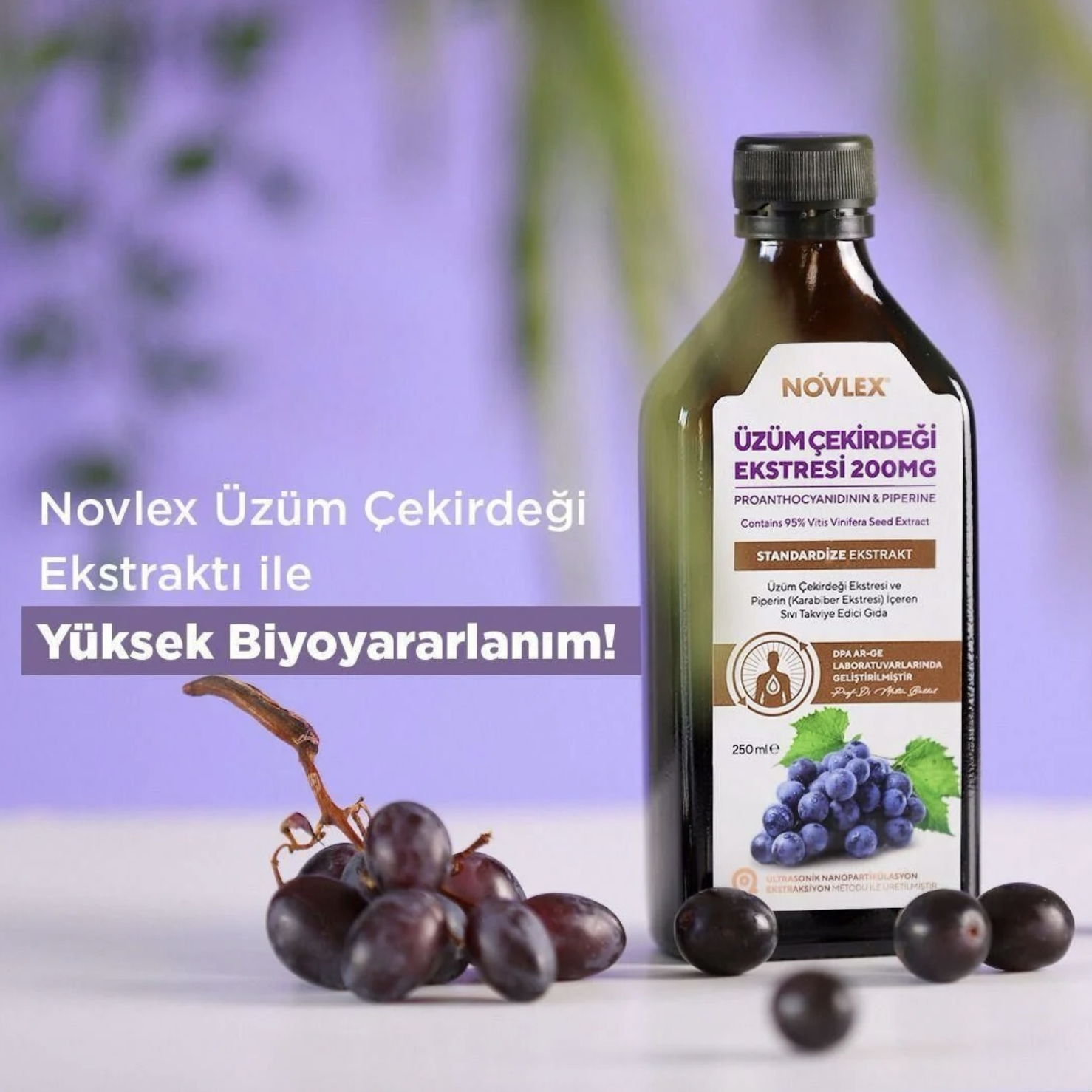 Novlex® Üzüm Çekirdeği Ekstresi 250ml