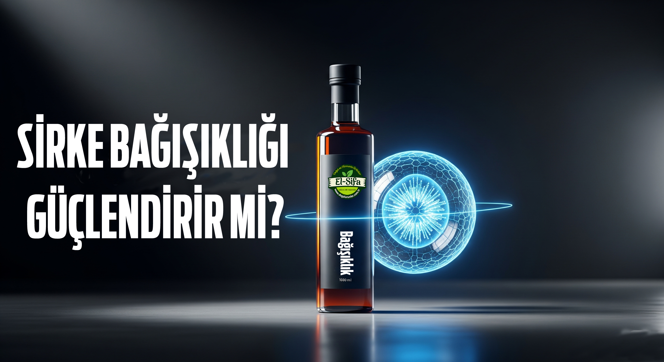 Sirkenin bağışıklık sistemine faydası var mı?