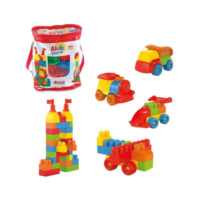 Akıllı Çocuk 100 Parça