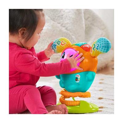 Mattel Fisher Price Sevimli DJ