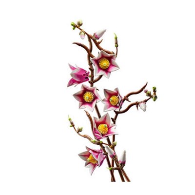 LEGO Botanicals Manolya Dalları 435 Parça