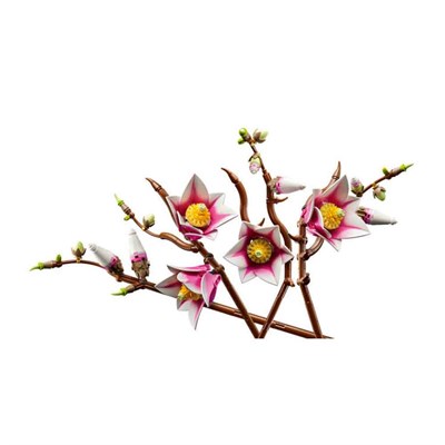 LEGO Botanicals Manolya Dalları 435 Parça
