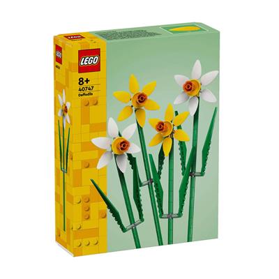 LEGO Iconic Nergis 216 Parça