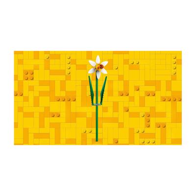 LEGO Iconic Nergis 216 Parça