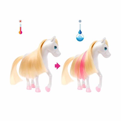 Barbie Chelsea ve Pegasus Oyun Seti