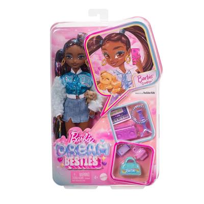 Barbie Dream Besties Barbie Brooklyn Bebek ve Aksesuarları