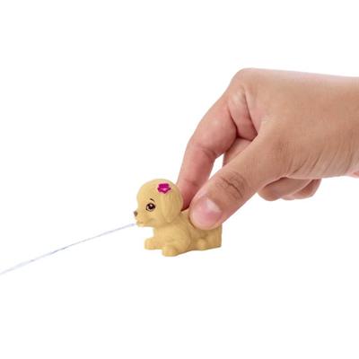 Barbie Skipperın Su Parkı Eğlencesi Oyun Seti