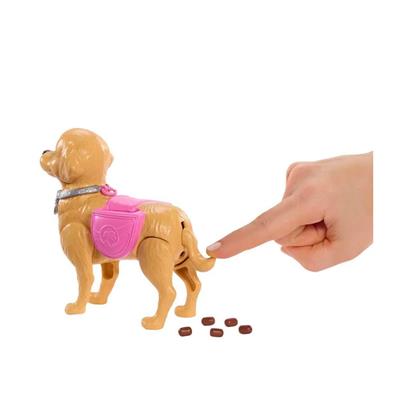 Barbie ve Köpekçiğin Yürüyüş Zamanı Oyun Seti