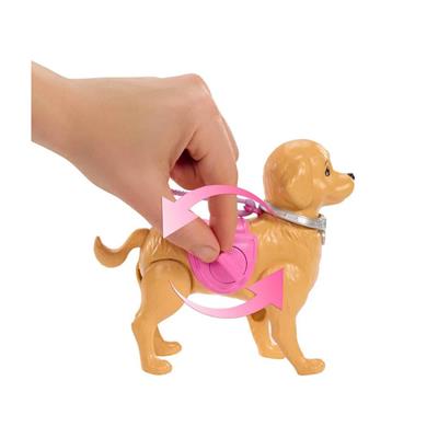 Barbie ve Köpekçiğin Yürüyüş Zamanı Oyun Seti