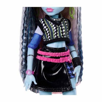 Monster High Ana Karakter Bebekler Frankiestein