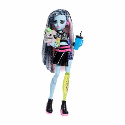 Monster High Ana Karakter Bebekler Frankiestein