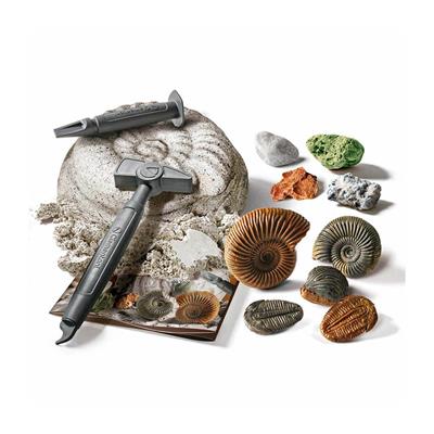 Clementoni Bilim ve Oyun Fosiller ve Mineraller Kazı Seti