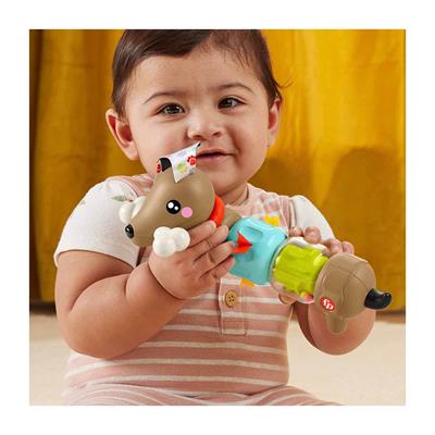 Fisher Price Köpekçikle Eğlenceli Aktiviteler