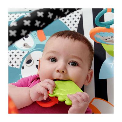 Fisher Price Neşeli Hayvanlar 3ü 1 Arada Jimnastik Merkezi