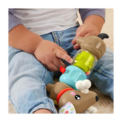 Fisher Price Köpekçikle Eğlenceli Aktiviteler