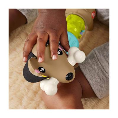 Fisher Price Köpekçikle Eğlenceli Aktiviteler
