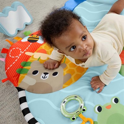 Fisher Price 3ü 1 Arada Duygusal Gelişim Jimnastik Merkezi