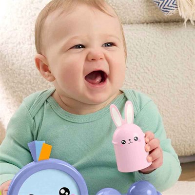 Fisher Price Denge Kuşu