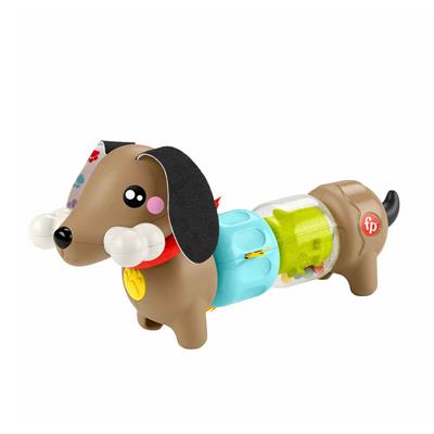 Fisher Price Köpekçikle Eğlenceli Aktiviteler