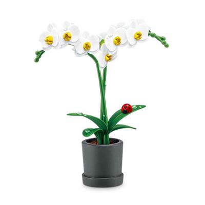 Giochi Mini Brand Botanik Bahçe