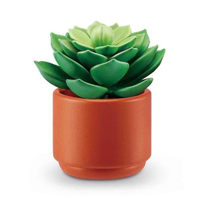 Giochi Mini Brand Botanik Bahçe