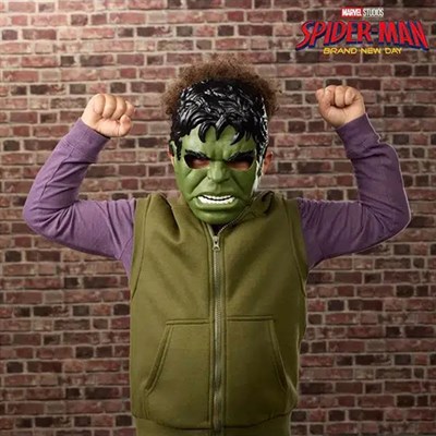 Hasbro Hulk Basic Maske
