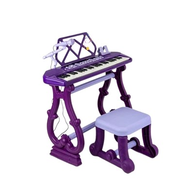 Birlik Oyuncak Ayaklı Mor Renkli 49 Tuşlu Piano Org
