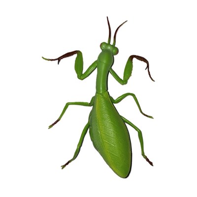 Mega Yumuşak Yeşil Çekirge