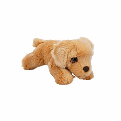 Labrador Peluş Köpek 25 cm