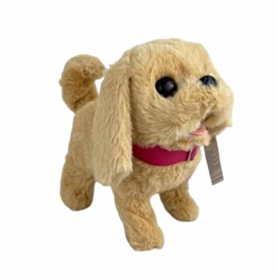 Pasifik Pilli Sesli Köpek