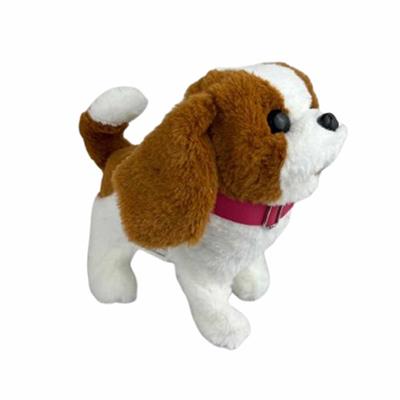 Pasifik Pilli Sesli Köpek