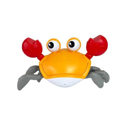 Pasifik Pilli Yürüyen Yengeç