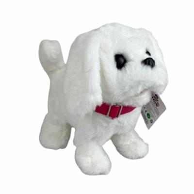 Pasifik Pilli Sesli Köpek