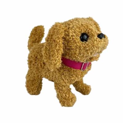 Pasifik Pilli Sesli Köpek