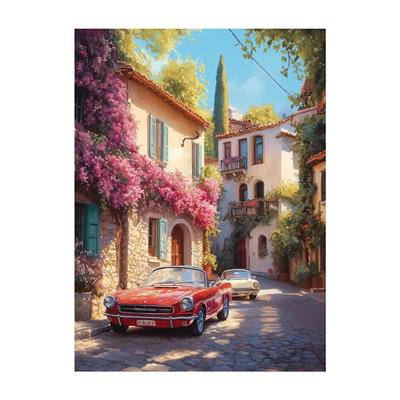 Anatolian Begonvil Sokak 1000 Parça Puzzle