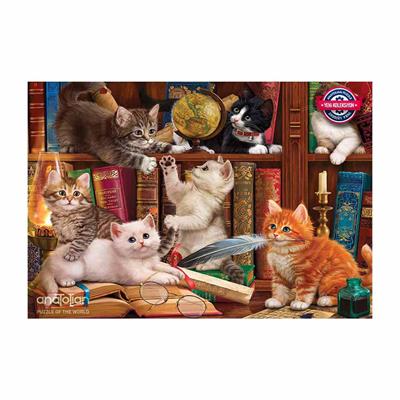 Anatolian Kediler ve Kitaplar/ Kittens in the Library 500 Parça
